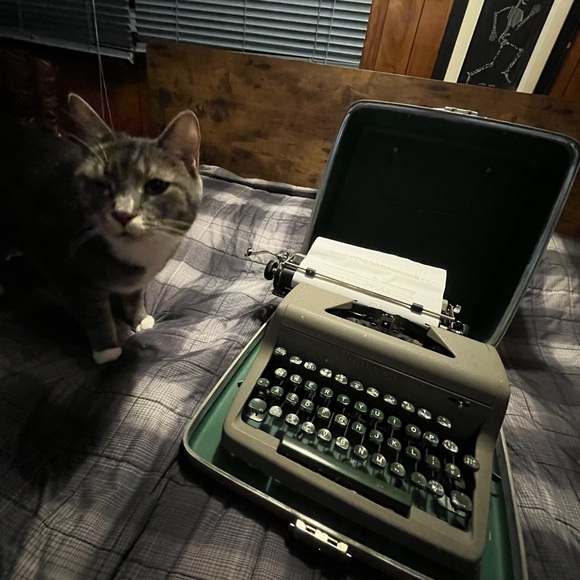 Meet your Posher, Chase - Picture 8 of 11